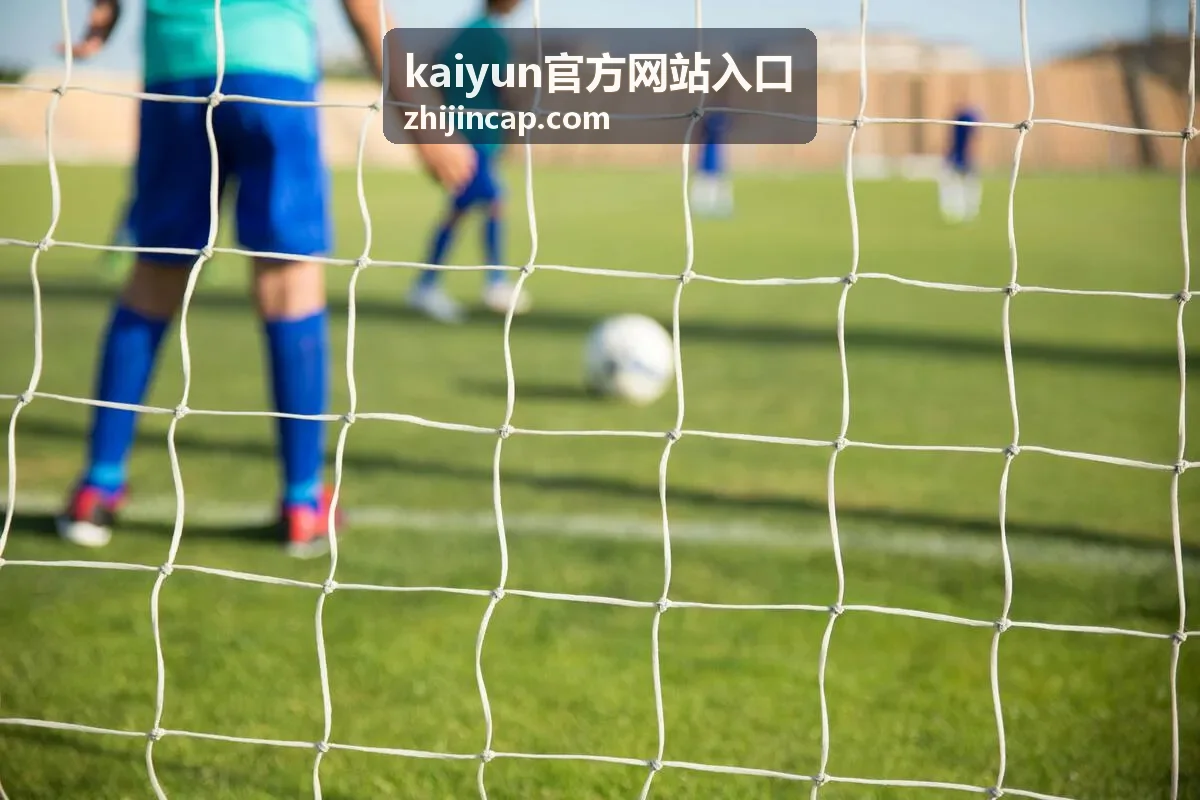 kaiyun官方网站入口 使用指南的注册登录操作界面示意